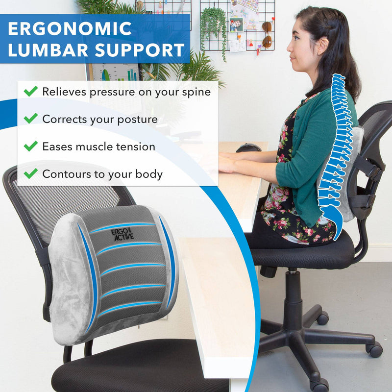 Mount-It! ErgoActive Lumbar Support Pillow