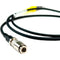 Ambient Recording SYNC-OUT-DIN Sync (Genlock) Output Cable for Canon C400 and RED One (2')