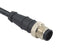 Multicomp PRO MP010869 MP010869 Sensor Cable M12 Plug Free End 5 Positions 2 m 6.6 ft MP Assemblies