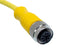 Mueller Electric C4C02M005 C4C02M005 M12 Cordset 4-POSITION Female STRAIGHT-OPEN END 18 AWG 5M 68AK2096 New