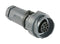 BULGIN LIMITED PXP7011/02P/ST/0709 Circular Connector, Buccaneer 7000 Series, Cable Mount Plug, 2 Contacts, Screw Pin, Bayonet