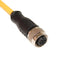 Mueller Electric C3C04M006 C3C04M006 M12 Cordset 3-POSITION Female Straight TO Open END 22 AWG 6M 68AK2068 New