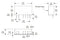 XP POWER ITB2415S Isolated Through Hole DC/DC Converter, ITE, 1:1, 1 W, 1 Output, 15 V, 66.7 mA