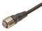 OMRON INDUSTRIAL AUTOMATION XS2F-M12PVC4S15M Sensor Cable, M12 Receptacle to Free End, 4 Position, 15 m49.2 ft