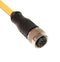 Mueller Electric C4C10M005 C4C10M005 M12 Cordset 4-POSITION Female Straight TO Open END 22 AWG 5M 68AK2104 New