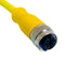 Mueller Electric C3C01M020 C3C01M020 M12 Cordset 3-POSITION Female Straight TO Open END 18 AWG 20M 68AK2065 New