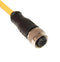 Mueller Electric C5C06M008 C5C06M008 M12 Cordset 5-POSITION Female Straight TO Open END 22 AWG 8M 68AK2119 New