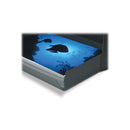 Print File Drop-Front Metal Edge Archival Storage Box (Black, 16.5 x 20.5 x 1.5")