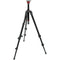 Manfrotto MH055M8-Q5 Photo-Movie Tripod Head with 755XB Aluminum Video Tripod Kit