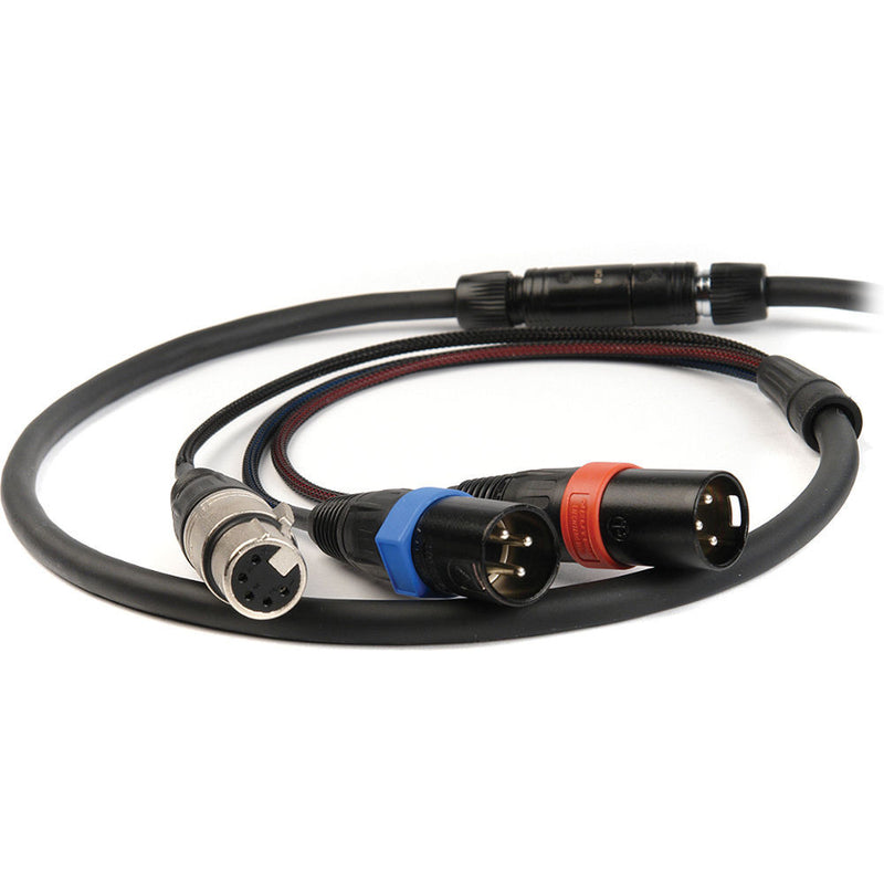 Remote Audio CABETACCS104/5P Betacam Breakaway Cable for Sound Devices 442 (20')