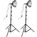 Impact Tungsten 10" Reflector Two-Floodlight Light Kit