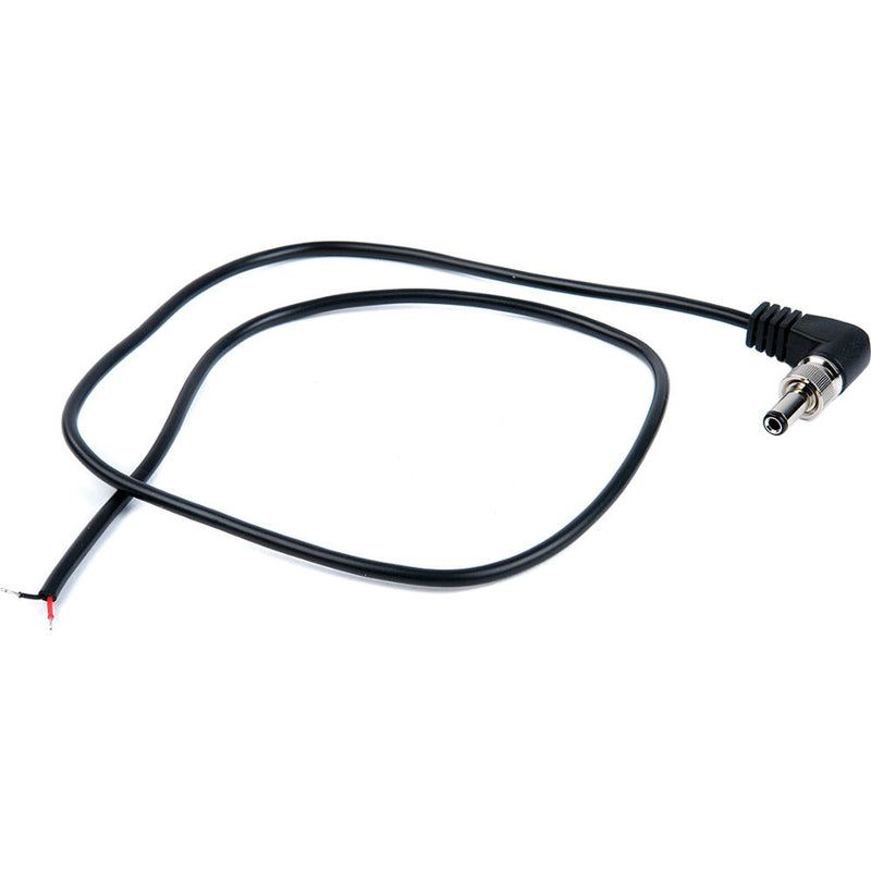 Remote Audio BDSCPT BDS Output Cable with Tinned Leads (24")