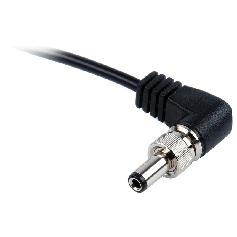 Remote Audio BDSCPT BDS Output Cable with Tinned Leads (24")