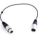 Remote Audio CAXJB5P Balanced Stereo Quad Microphone Jumper Cable (16.5")