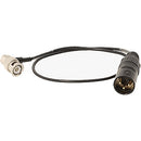 Ambient Recording 15.8" Right Angle to 3-Pin XLR Male Timecode-Out Cable for Timecode Clockit Devices (Black)