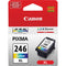 Canon CL-246 XL High Capacity Color Ink Cartridge