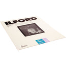 Ilford Multigrade FB Cooltone Variable Contrast Paper (16 x 20", 10 Sheets)