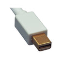 Tera Grand Mini DisplayPort Male to DisplayPort Male Cable (White, 6')