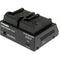 Dolgin Engineering TC200-i Two-Position Simultaneous Battery Charger for Sony BP-U30, BP-U60, BP-U90