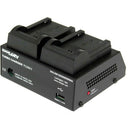 Dolgin Engineering TC200-i-TDM Two-Position Simultaneous Battery Charger for Panasonic VW-VBG6 and CGA-E/625