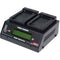 Dolgin Engineering TC200-i-TDM Two-Position Simultaneous Battery Charger for Sony L-Series