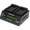 Dolgin Engineering TC200-i-TDM Two-Position Simultaneous Battery Charger for Panasonic VW-VBG6 and CGA-E/625