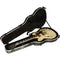 SKB Thin Body Semi-Hollow Guitar Case