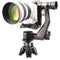 Zenelli CARBONZX Carbon Fiber Gimbal Head with Accessories