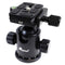 iOptron SkyTracker Ball Head v2