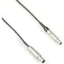 Remote Audio Timecode Adapter Cable 5-Pin LEMO Male to 4-Pin LEMO Male (18")