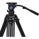 Benro BV8 Twin Leg Aluminum Tripod Kit