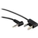 Impact Sync Cord Male Mini to Male Household (10')