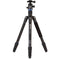 Benro FTA28AB1 Travel Angel Series 2 Aluminum Tripod with B1 Ball Head