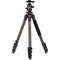 Benro TAD28CB2 Series 2 Adventure Carbon Fiber Tripod with B2 Ball Head