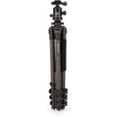 Benro TAD28CB2 Series 2 Adventure Carbon Fiber Tripod with B2 Ball Head