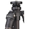 Benro TAD28CB2 Series 2 Adventure Carbon Fiber Tripod with B2 Ball Head