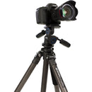 Benro TAD28CB2 Series 2 Adventure Carbon Fiber Tripod with B2 Ball Head