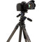 Benro TAD28AIB2 Series 2 Adventure Aluminum Tripod with B2 Ball Head