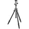 Gitzo GK1542-82QD Mountaineer Series 1 Carbon Fiber Tripod with Center Ball Head