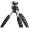 Manfrotto PIXI EVO Mini Tripod (Black)