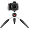 Manfrotto PIXI EVO Mini Tripod (Black)