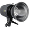 Angler Glamour Flash 300Ws Monolight