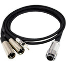 Azden MX-10 Send/Return Breakout Cable for FMX-42a (3')