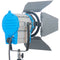 CAME-TV Fresnel Tungsten Video Spotlight Kit