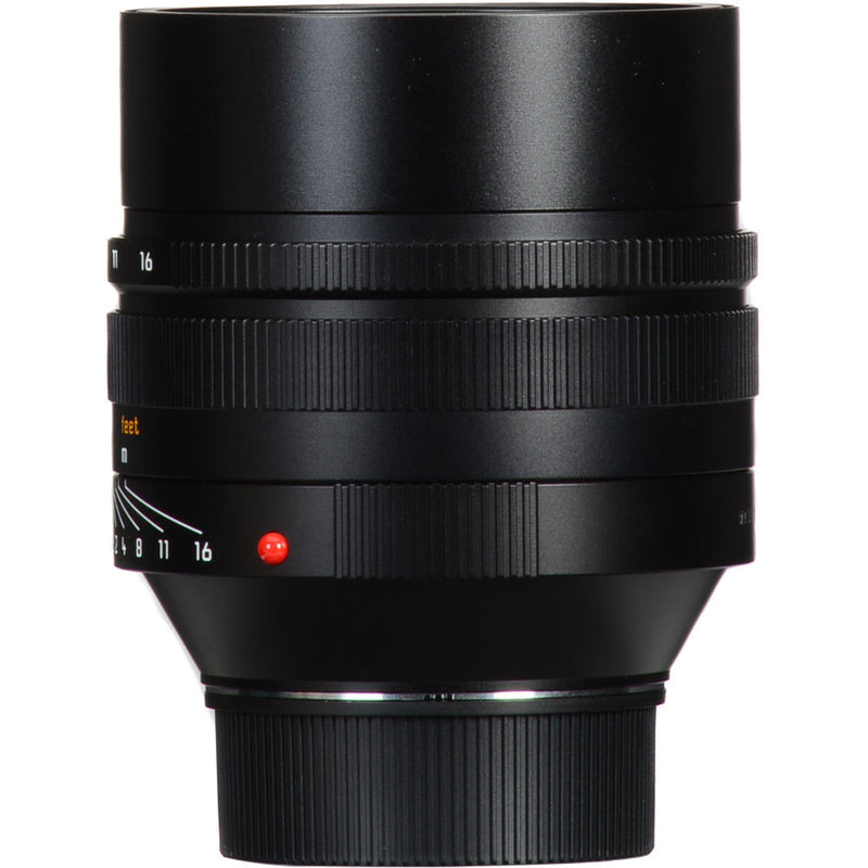 Leica Noctilux-M 50mm f/0.95 ASPH Lens (Black)