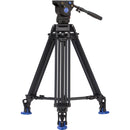 Benro BV6 Pro 2-Stage Video Tripod Kit with DL-08 Tripod Dolly