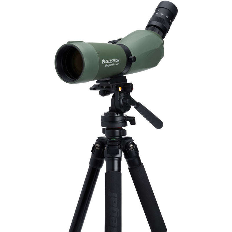 Celestron Regal M2 65ED Spotting Scope with 16-48x Eyepiece (Angled Viewing)