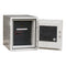 Turtle Phoenix DataCare 2001 Fireproof Safe (0.26 Cubic Feet)