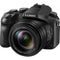 Panasonic Lumix DMC-FZ2500 Digital Camera Deluxe Kit