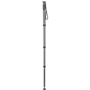 Gitzo GM4542 Series 4 Carbon Fiber Monopod